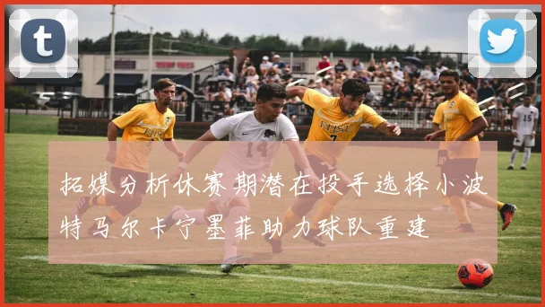 拓媒分析休赛期潜在投手选择小波特马尔卡宁墨菲助力球队重建