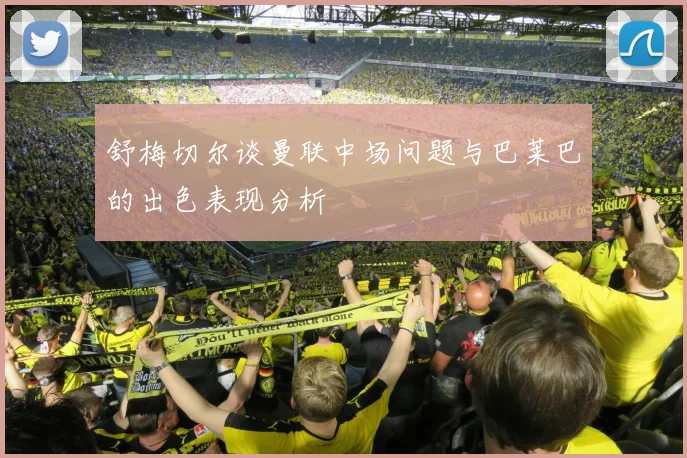 舒梅切尔谈曼联中场问题与巴莱巴的出色表现分析